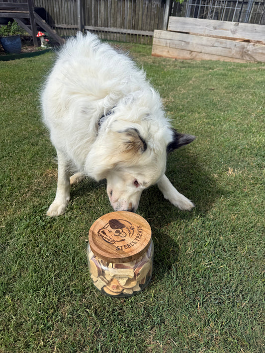 Customised Engraved Dog Treat Containers