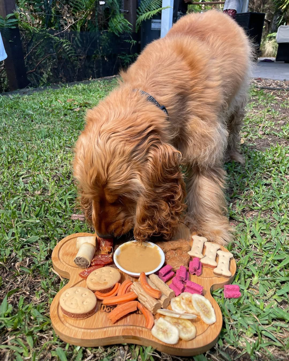 Customised Dogcuterie Board 🐾