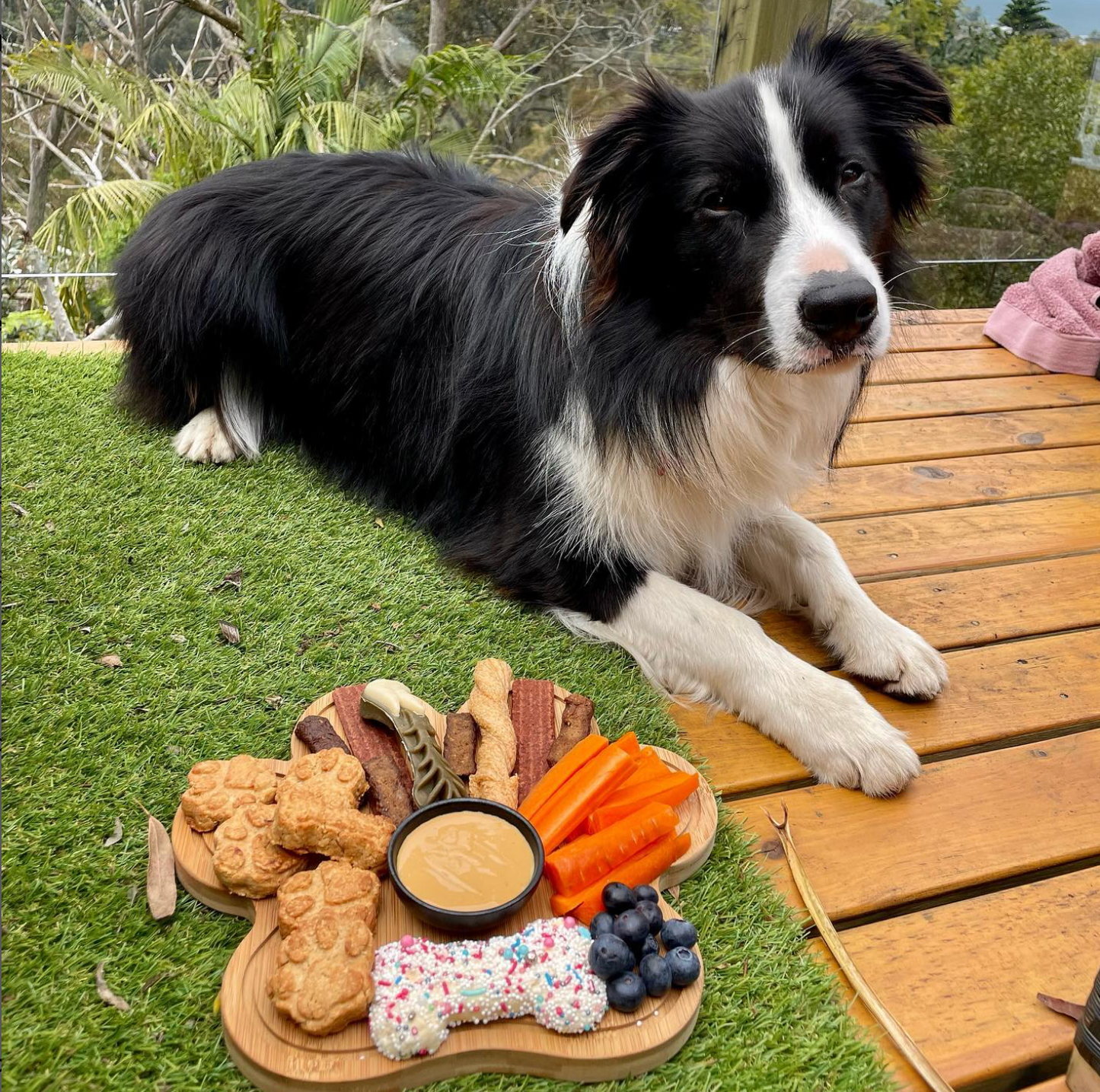 Customised Dogcuterie Board 🐾